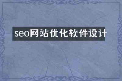 seo网站优化软件设计