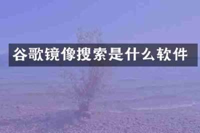 谷歌镜像搜索是什么软件