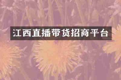 江西直播带货招商平台