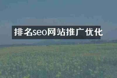 排名seo网站推广优化