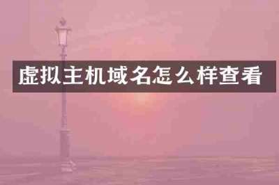 虚拟主机域名怎么样查看
