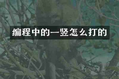 编程中的一竖怎么打的