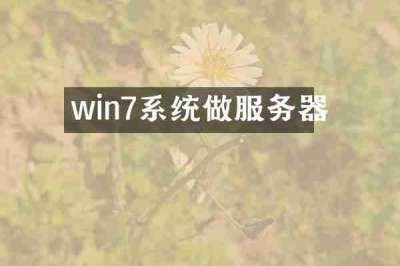 win7系统做服务器