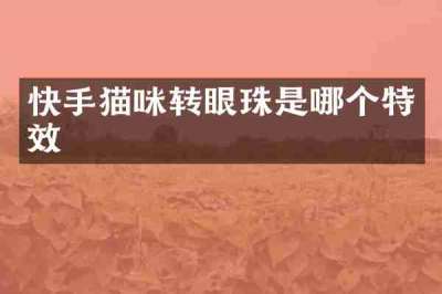 快手猫咪转眼珠是哪个特效