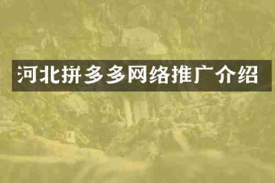 河北拼多多网络推广介绍