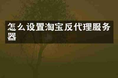 怎么设置淘宝反代理服务器