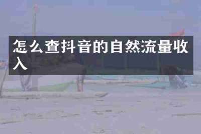 怎么查抖音的自然流量收入
