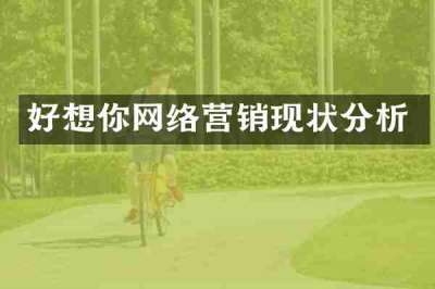 好想你网络营销现状分析