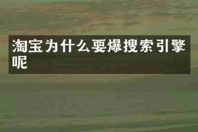 淘宝为什么要爆搜索引擎呢