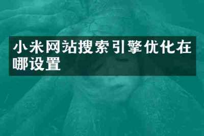 小米网站搜索引擎优化在哪设置