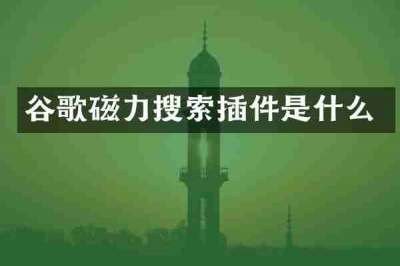 谷歌磁力搜索插件是什么