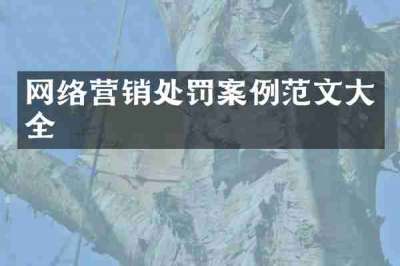 网络营销处罚案例范文大全