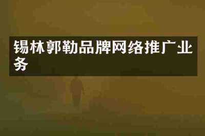 锡林郭勒品牌网络推广业务