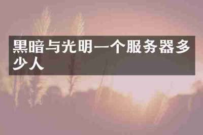 黑暗与光明一个服务器多少人