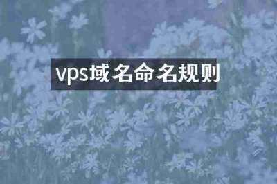 vps域名命名规则