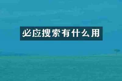 必应搜索有什么用