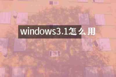 windows3.1怎么用