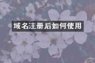 域名注册后如何使用