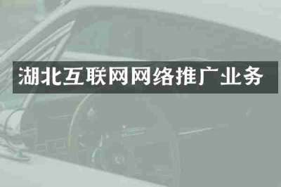 湖北互联网网络推广业务