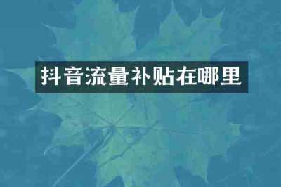 抖音流量补贴在哪里