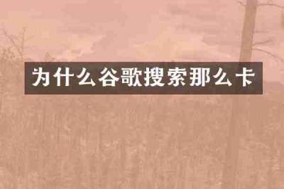 为什么谷歌搜索那么卡