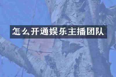 怎么开通娱乐主播团队
