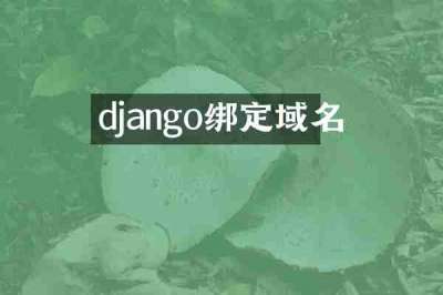 django绑定域名