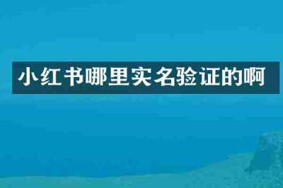 小红书哪里实名验证的啊