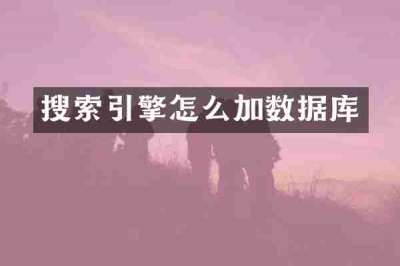 搜索引擎怎么加数据库