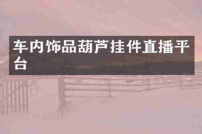 车内饰品葫芦挂件直播平台