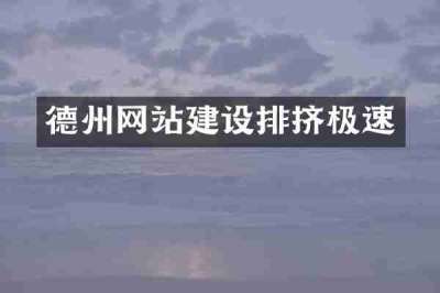 德州网站建设排挤极速