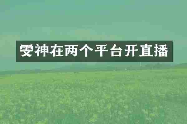 雯神在两个平台开直播