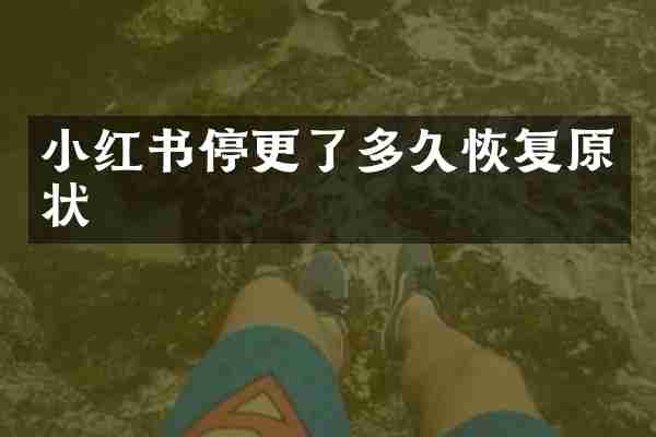 小红书停更了多久恢复原状