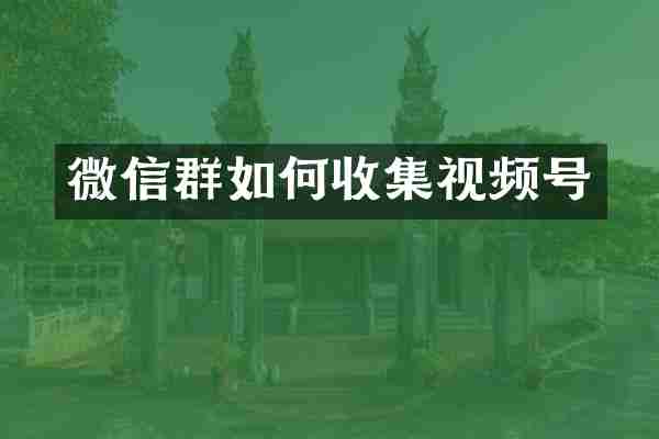 微信群如何收集视频号