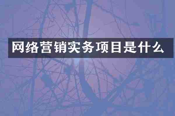 网络营销实务项目是什么