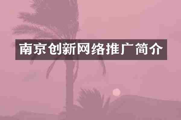 南京创新网络推广简介