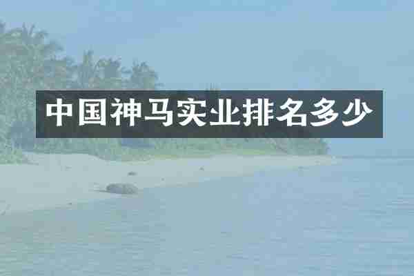 中国神马实业排名多少