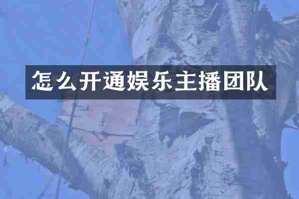 怎么开通娱乐主播团队
