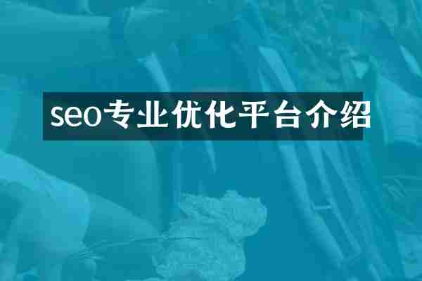 seo专业优化平台介绍