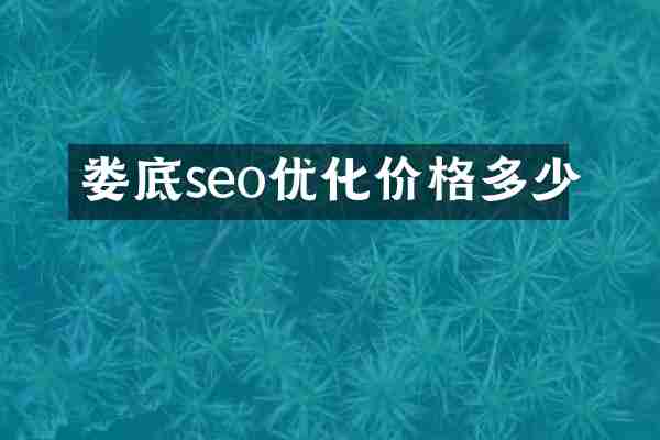 娄底seo优化价格多少
