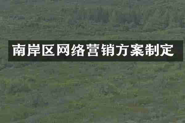 南岸区网络营销方案制定