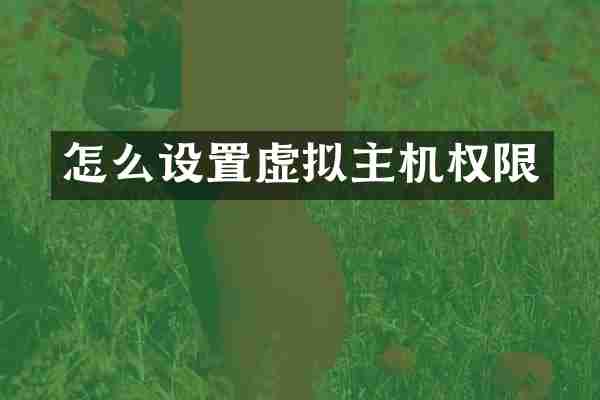 怎么设置虚拟主机权限