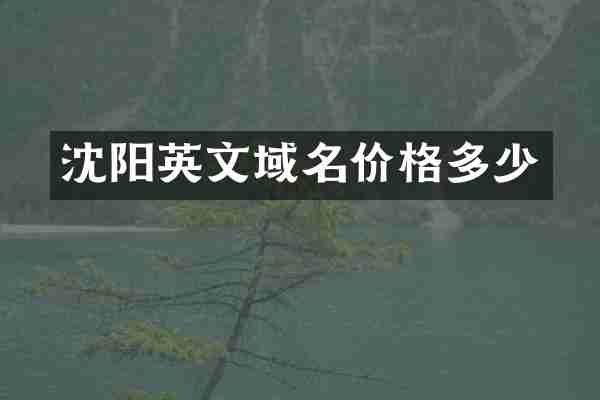 沈阳英文域名价格多少