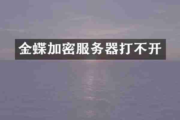 金蝶加密服务器打不开