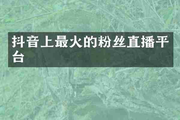 抖音上最火的粉丝直播平台