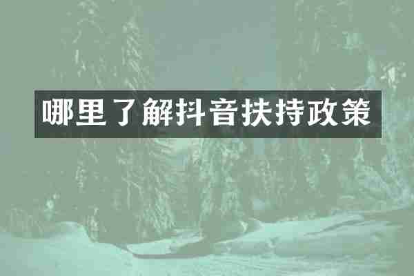 哪里了解抖音扶持政策