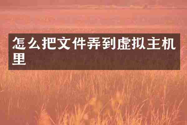 怎么把文件弄到虚拟主机里