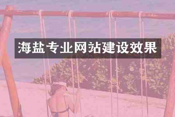 海盐专业网站建设效果