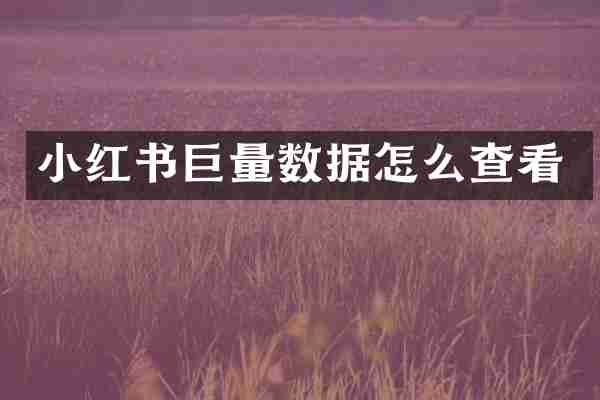 小红书巨量数据怎么查看