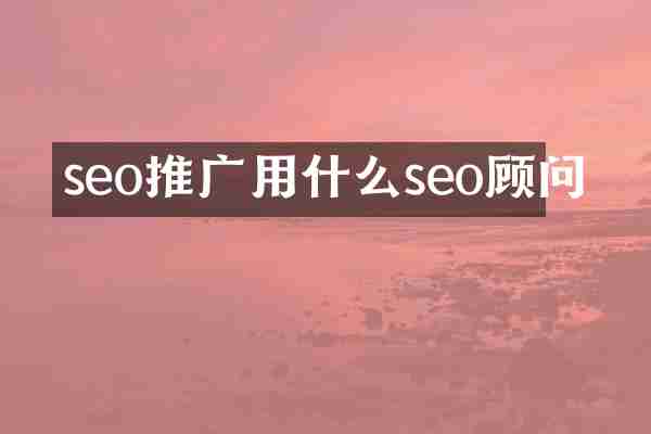 seo推广用什么seo顾问
